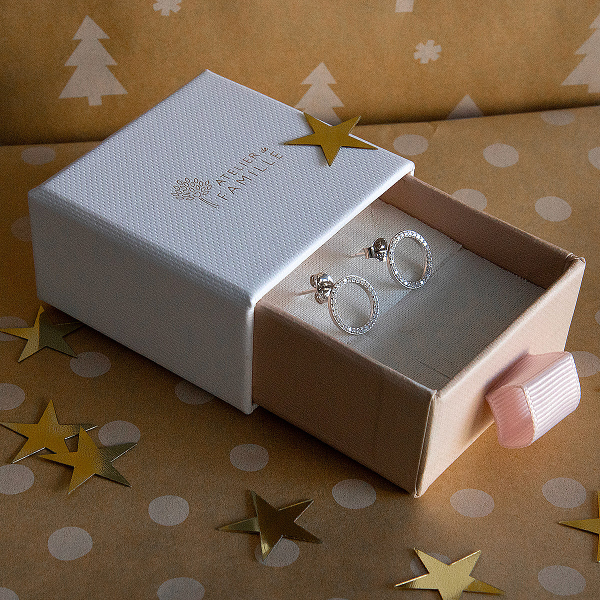 Boucles d'oreilles cercle et brillants argent massif