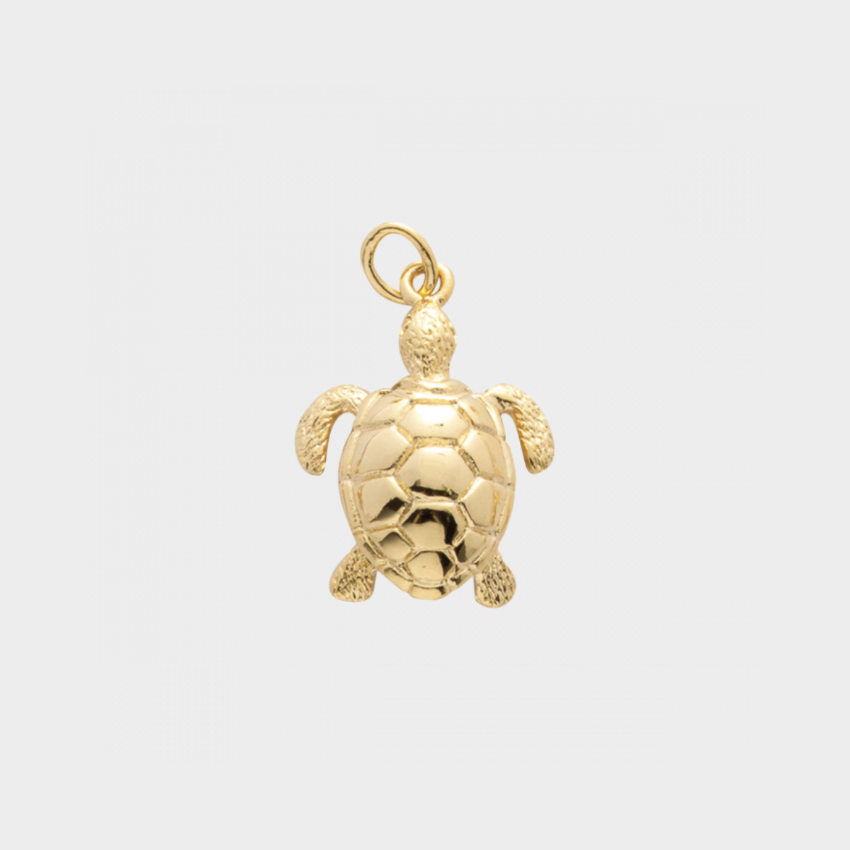 Gris-gris tortue