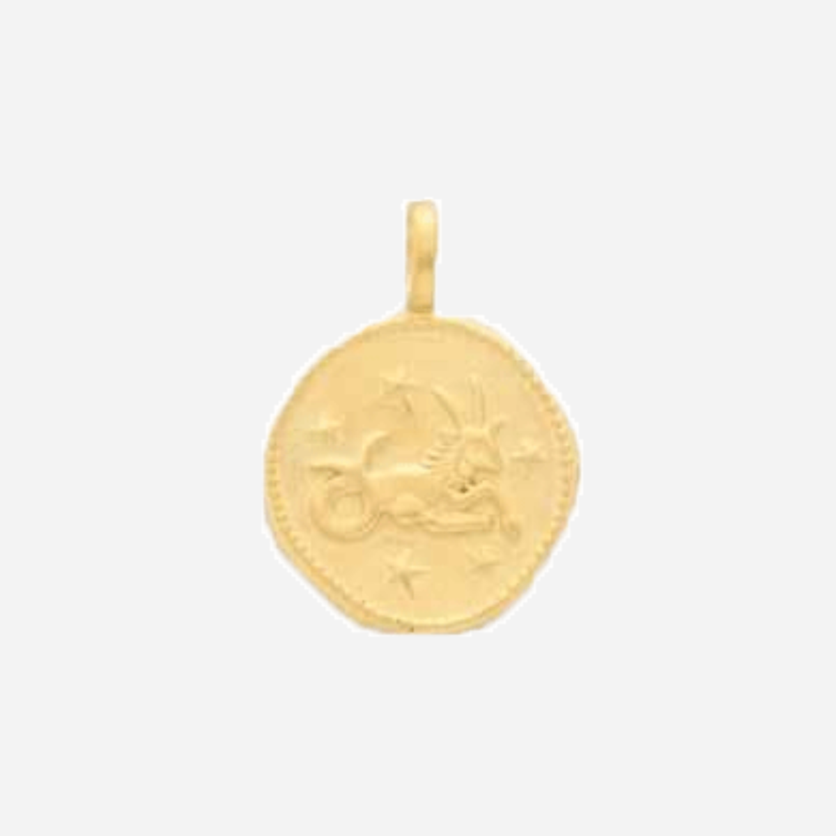Médaille zodiaque Capricorne