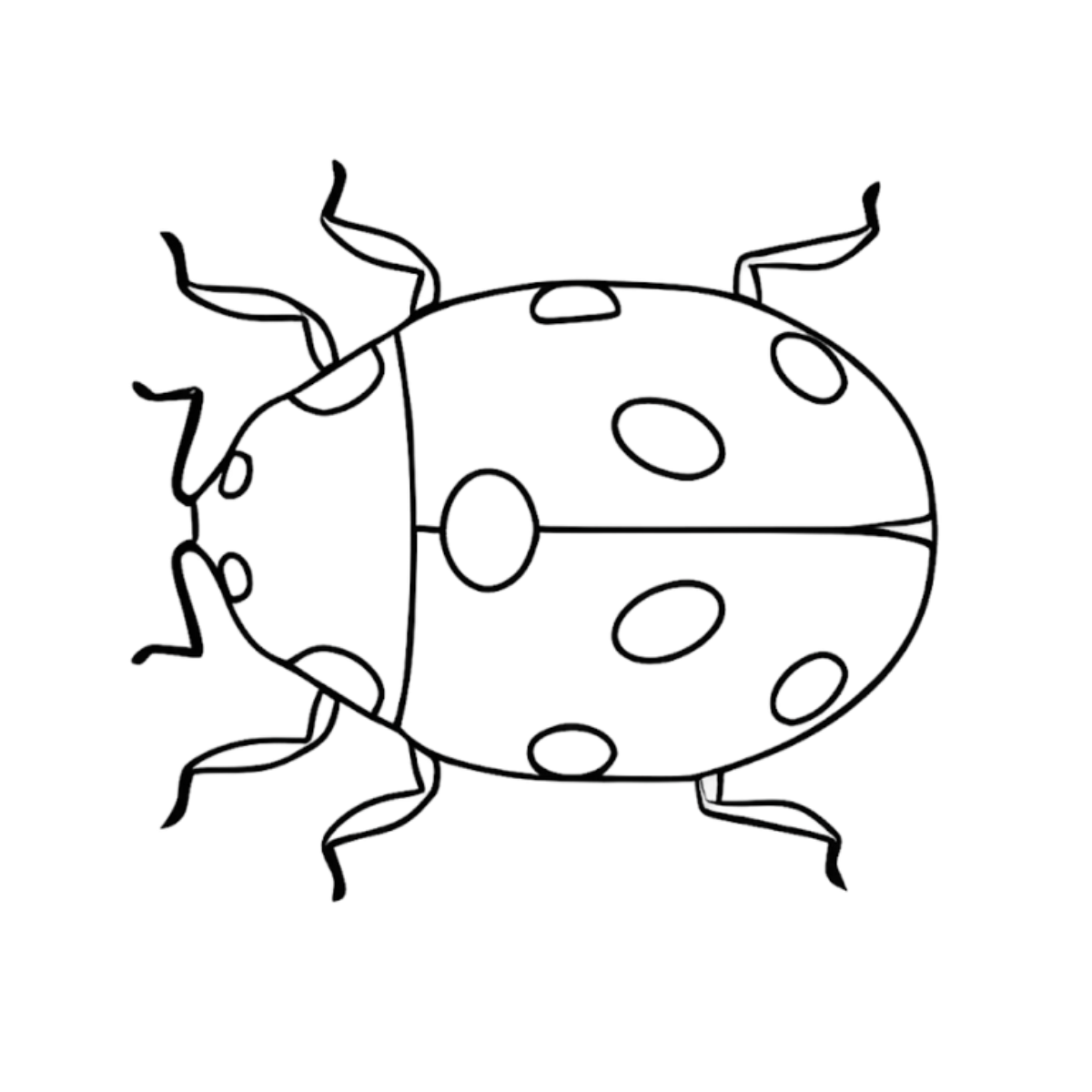 Coccinnelle (bonheur)