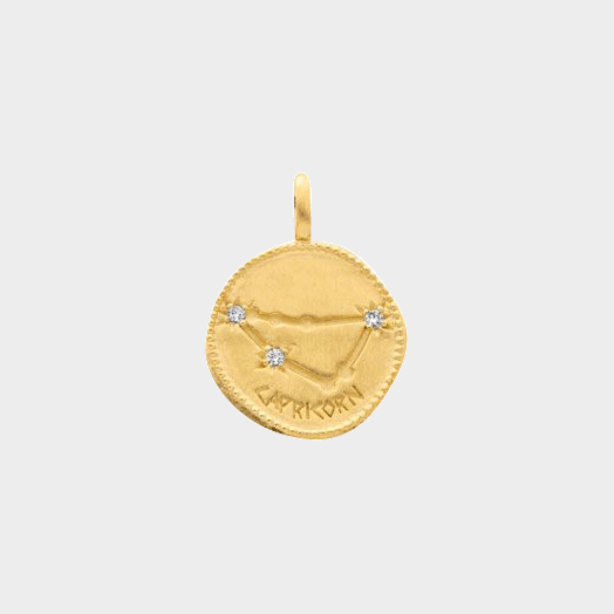 Médaille signe astrologique Capricorne